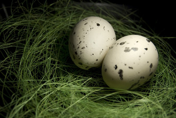 Eggs