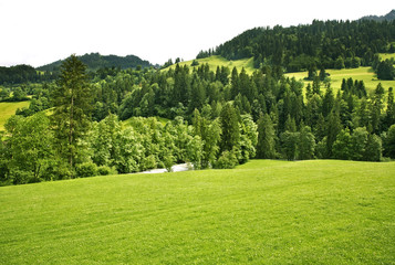 Obraz premium landscape near Ringoldingen village. Canton of Bern. Switzerland
