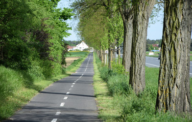 Fototapeta premium Radweg