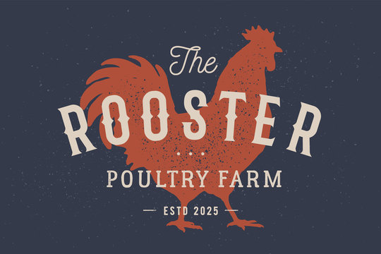 Rooster, poultry. Vintage logo, retro print, poster for Butchery meat shop with text typography Rooster, Poultry Farm, rooster silhouette. Label template rooster, hen, chicken. Vector Illustration