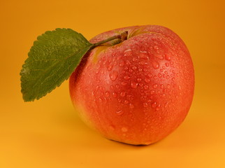 Red apple with green leaf with water drops on yellow background