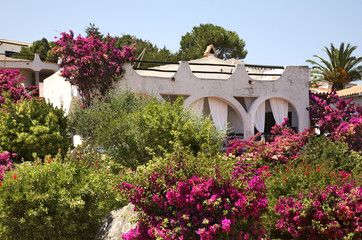 Fototapeta premium Baja Sardinia. Sardegna. Italia