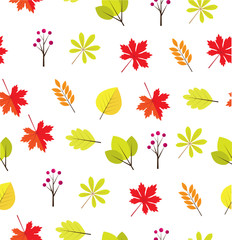 Vector Fall Leaves