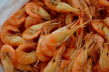 Cooked fresh shrimps