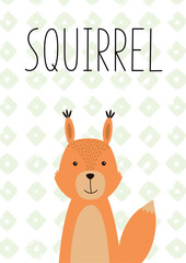 Cute little squirrel. Vector hand drawn illustration.