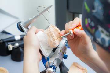 Dentist-dentist working with prostheses in laboratory with wax on jaw model in articulator