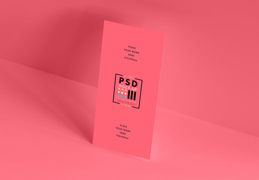 2 DL Flyer Mockups on Colorful Backgrounds