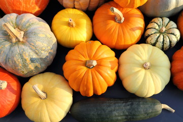 Pumpkins and  squash.