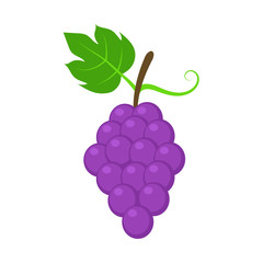 Purple grape. Vector. Isolated.
