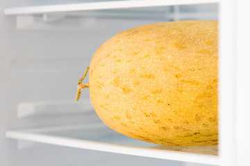 Part of uncut melon with tail in fridge