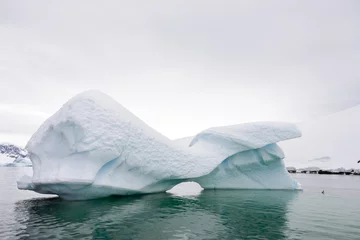 Rolgordijnen Iceberg in Antarctic sea © Alexey Seafarer