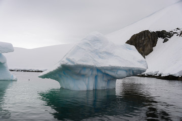 Iceberg in Antarctic sea