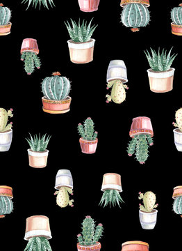 watercolor seamless pattern of cacti and succulents. watercolor background © vadikovskiy