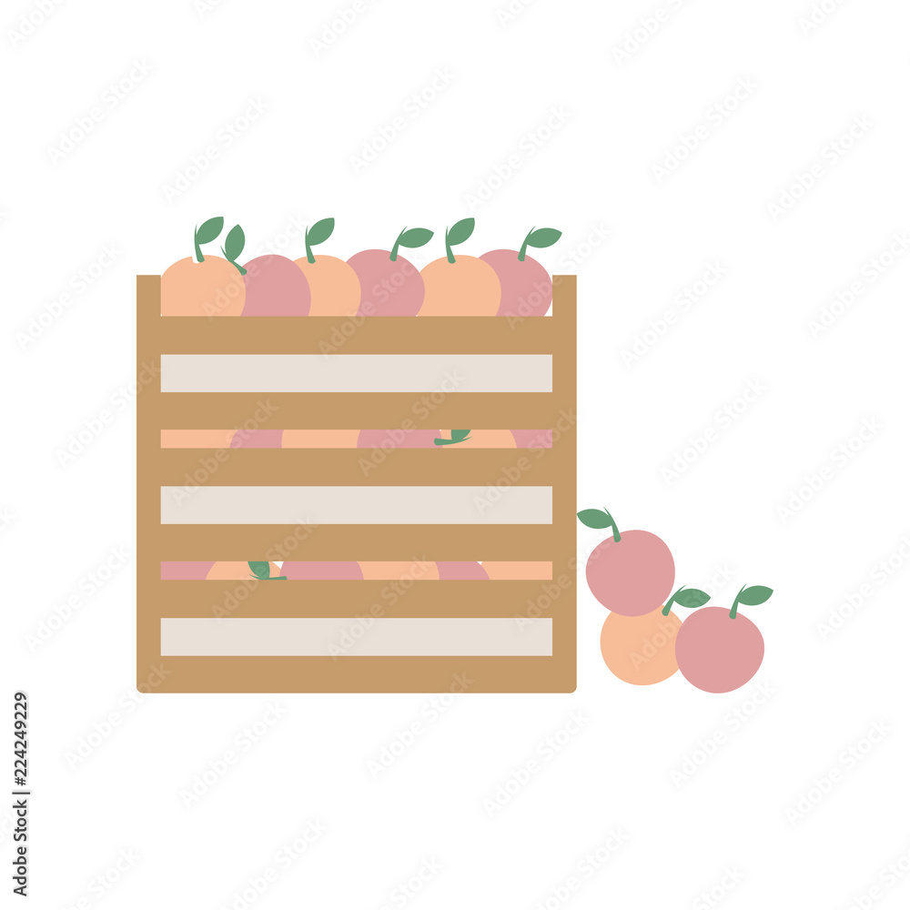 Poster apples in boxes. element of colored autumn illustration for mobile concept and web apps. detailed ap