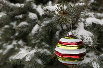 the minimal concept of Christmas, on the branches of natural spruce hanging vintage Christmas decoration, copy space
