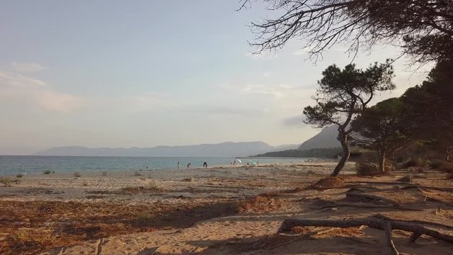 Low flight over Osalla beach, Sardinia, Italy, with green trees in foreground. Mediterranean coast, with sandy beach and green vegetation. Concept of travel, tourism, holiday, exploration, nature.