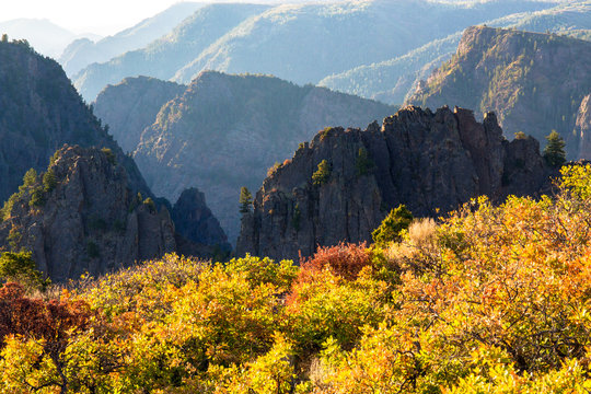 Early dawn light hits the upper cliff walls and bright autumn foliage at Black Canyon of the Gunnison National Park in Colorado