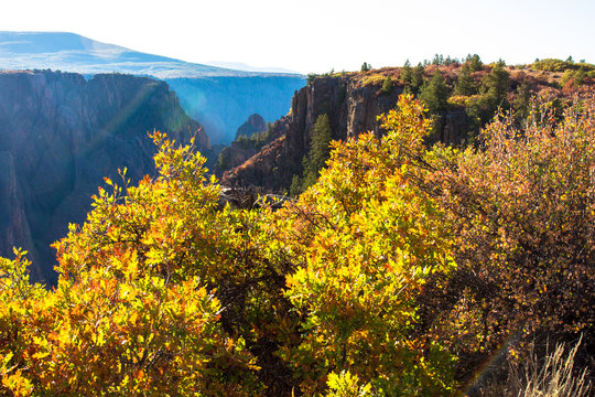 Steep, sheer cliffs and colorful fall foliage in early morning light characterize Black Canyon of the Gunnison National Park in Colorado
