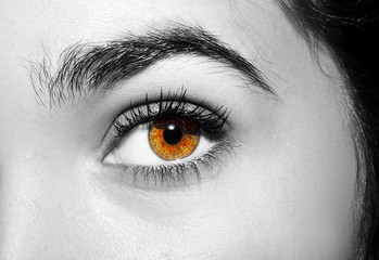 A beautiful insightful look woman's eye. Close up shot.
