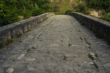 detail of a stone path