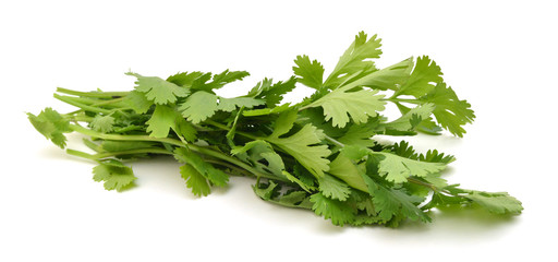 green leaves of parsley isolated on white background