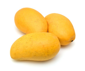 Yellow mango isolated on a white background