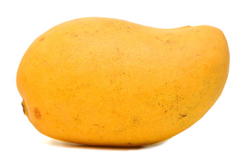 Yellow mango isolated on a white background