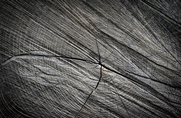 the texture of an old blackboard