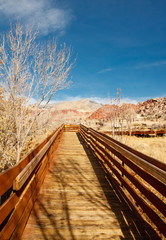 Fototapeta premium Wood Board Walkway Across Desert