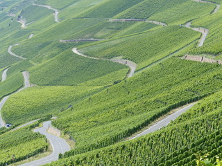 Wege durch die Weinberge an der Mosel