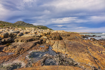 Picturesque view of the rocky shoreline of Atlantic Ocean and Platboom Beach. Platboom Bay is a beautiful beach along coastline nestled in Cape of Good Hope Nature reserve, Cape Town, South Africa.
