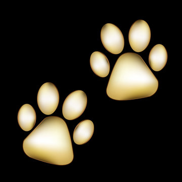 Gold Paw Prints Pair Pet Tracks Logo