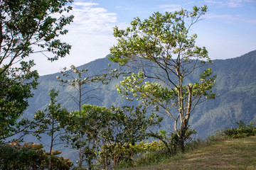 Serra do Mar, Litoral de São Paulo