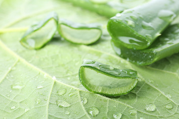 Fresh green aloe vera slices with drops on leaf, closeup