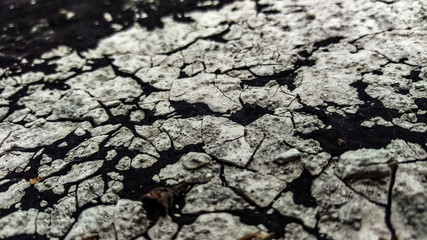 dry cracked earth