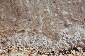 Background of sea sand with seashells on the beach of the sea, ocean with waves