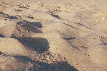Seashore beach with sand, footprints in the sand, sand and seashells summer