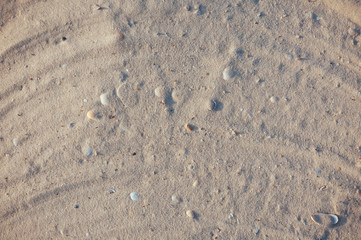 Seashore beach with sand, footprints in the sand, sand and seashells summer