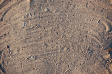 Seashore beach with sand, footprints in the sand, sand and seashells summer