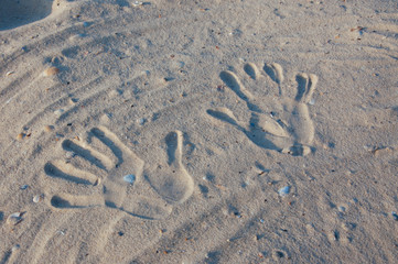Seashore beach with sand, footprints in the sand, sand and seashells summer