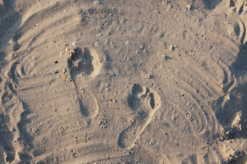 Fototapeta na wymiar Seashore beach with sand, footprints in the sand, sand and seashells summer