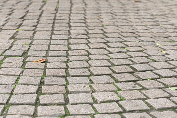 gray paving stones in the park