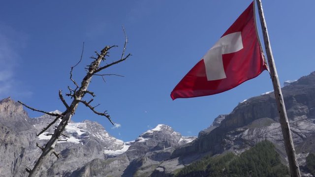 Swiss flag blowing in the wind on a sunny day with a tree and the enormous snowy swiss alps in the background.