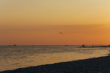 A warm orange sunset on the shore of the ocean, the sea, draws silhouettes in the sunset of a summer