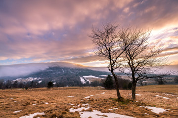 Foggy sunset