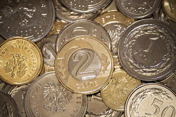 Polish coins money business background