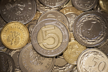 Polish coins money business background