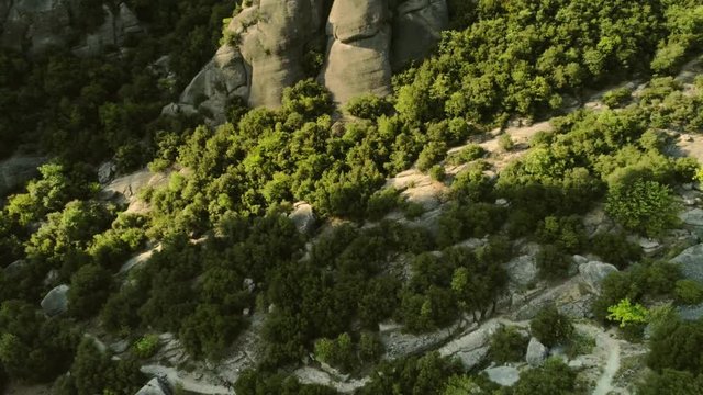 Aerial tracking shot beautiful dense green trees surrounded by stone slabs and high mountains in windy summer day amazing view from above to magnificent natural valley at sunset