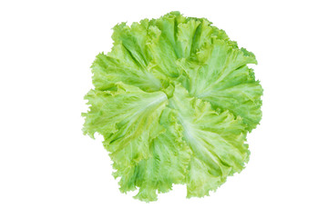 Salad leaf. Lettuce isolated on white background. with clipping path
