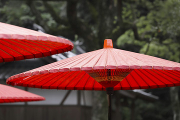 傘　赤い傘　野点